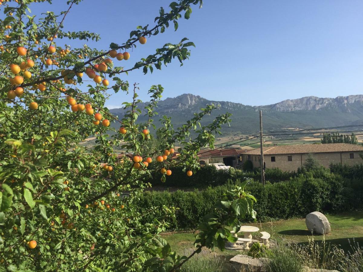 Legado De Zabala, Casa Rural La Guardia Zewnętrze zdjęcie